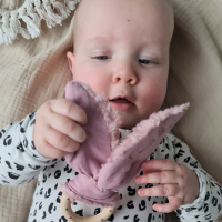 Knisperoortjes Oudroze